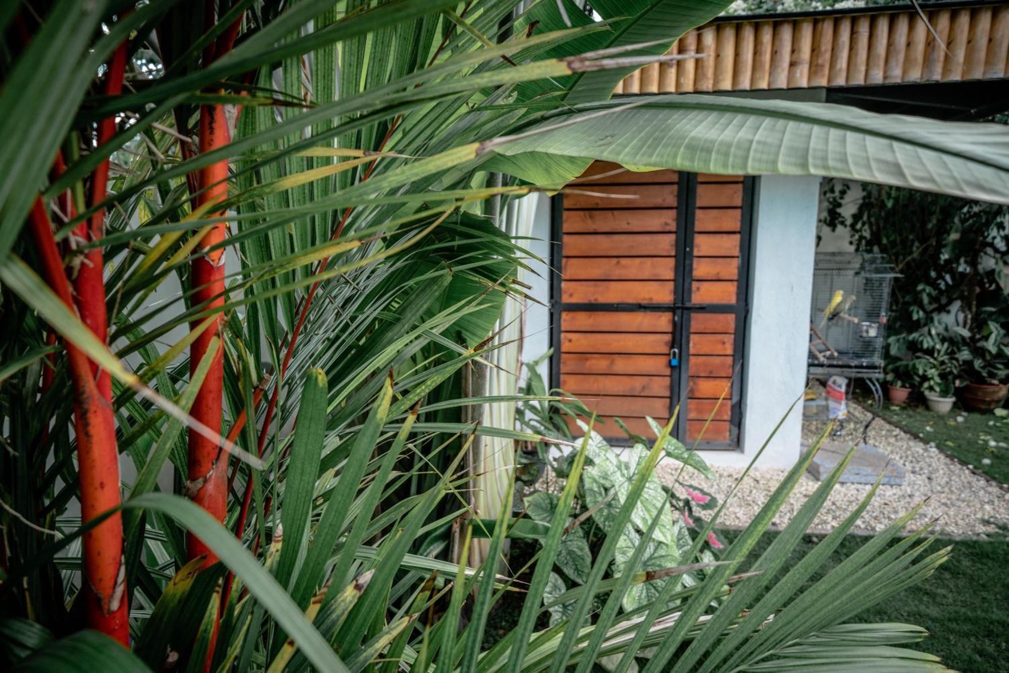 Вилла Tana Mysterious Garden Панглао Экстерьер фото