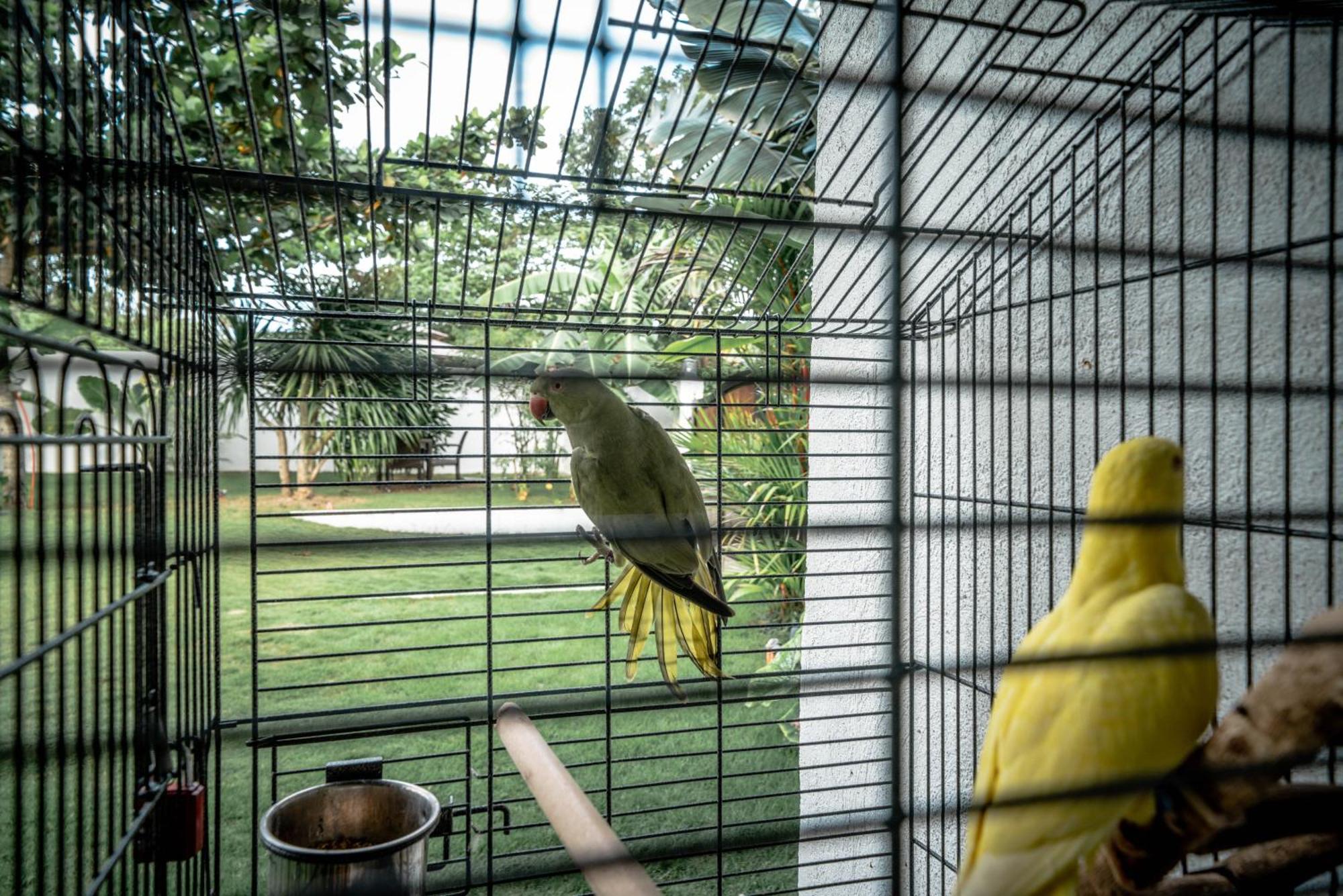 Вилла Tana Mysterious Garden Панглао Экстерьер фото