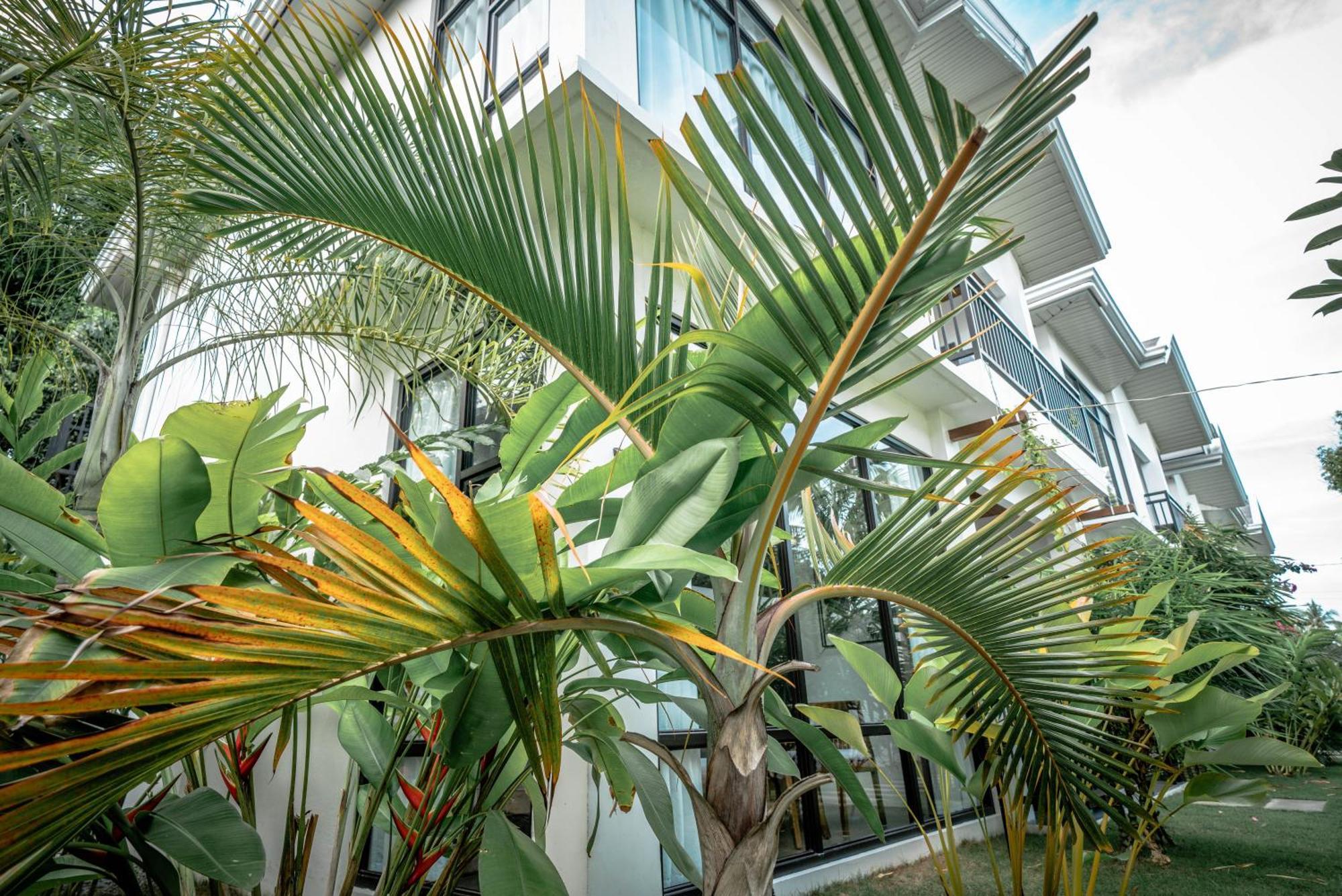 Вилла Tana Mysterious Garden Панглао Экстерьер фото