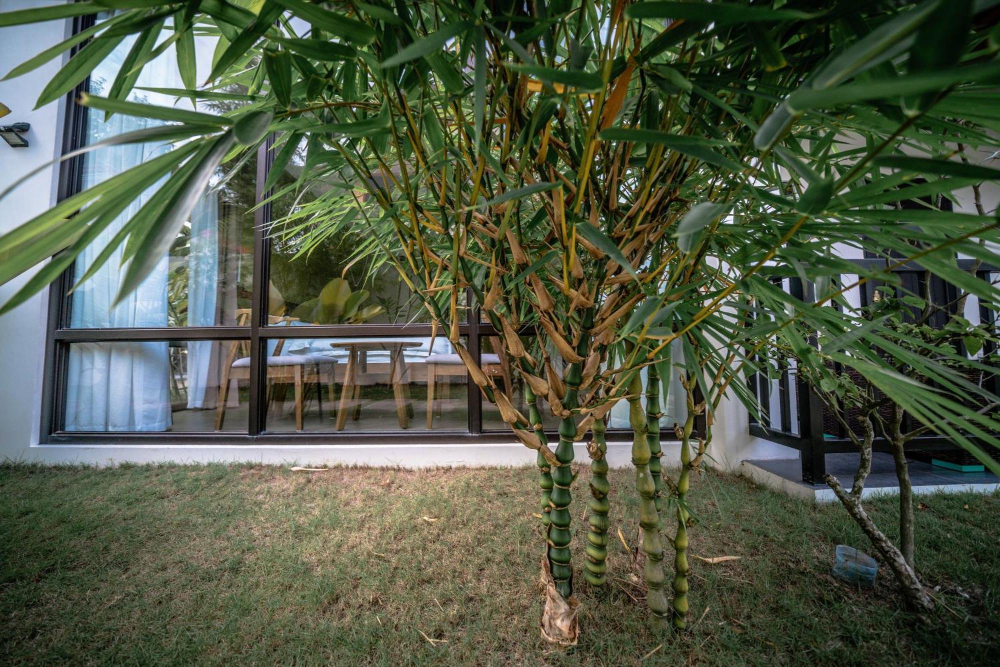 Вилла Tana Mysterious Garden Панглао Экстерьер фото