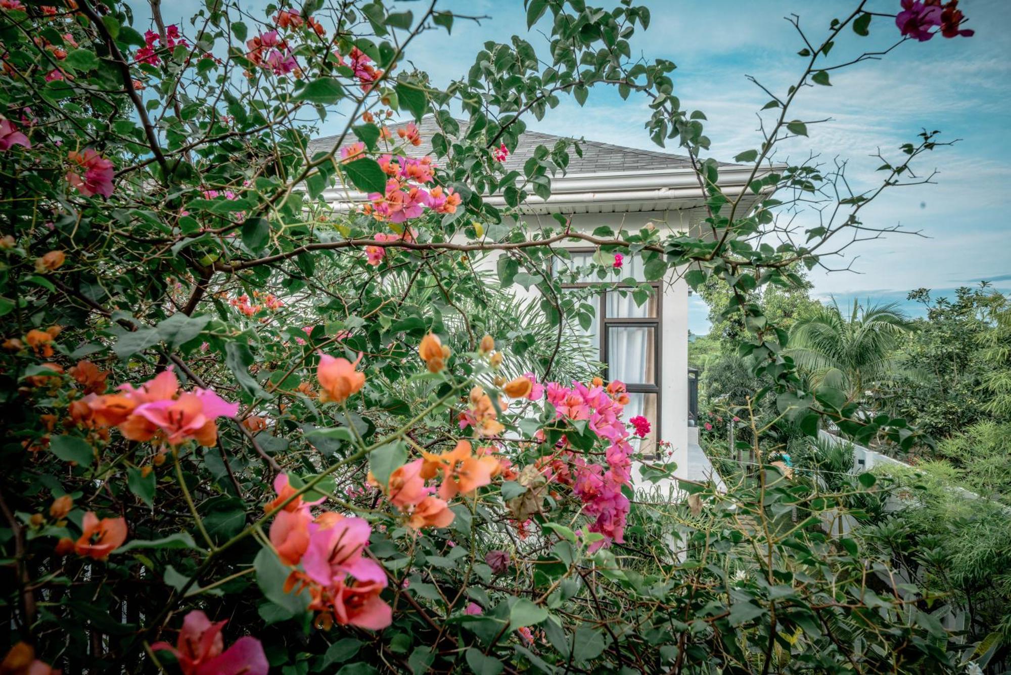 Вилла Tana Mysterious Garden Панглао Экстерьер фото